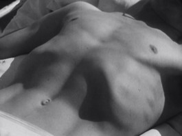 The Mechanical Birds Factory