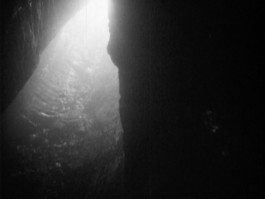 The Mechanical Birds Factory