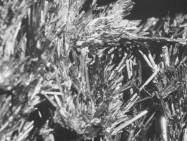 The Mechanical Birds Factory