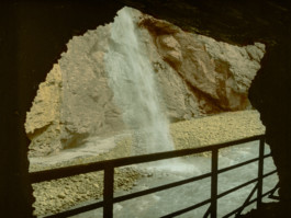 The Mechanical Birds Factory