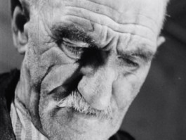 The Mechanical Birds Factory