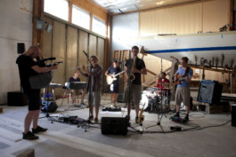 The Mechanical Birds Factory