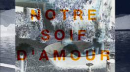 The Mechanical Birds Factory