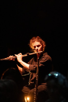 The Mechanical Birds Factory