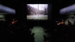 The Mechanical Birds Factory