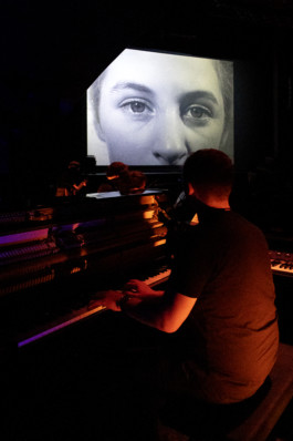 The Mechanical Birds Factory