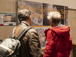 The Mechanical Birds Factory